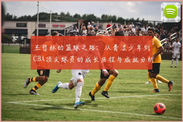 王哲林的篮球之路：从青涩少年到CBA顶尖球员的成长历程与成就分析