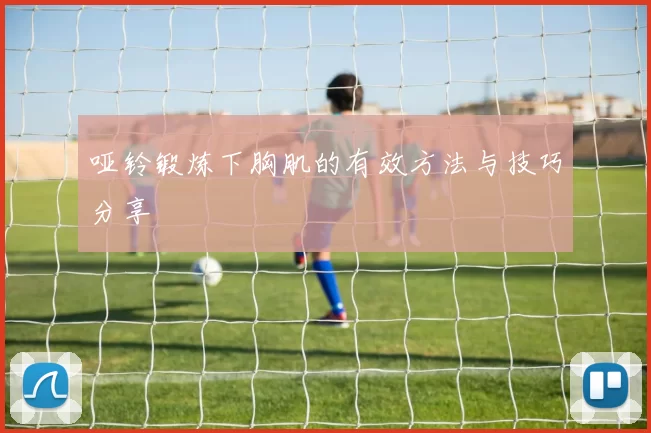 哑铃锻炼下胸肌的有效方法与技巧分享