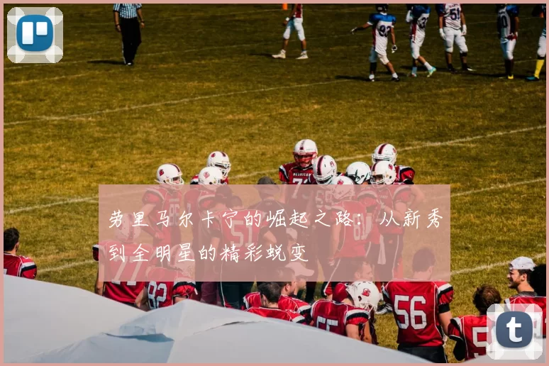 劳里马尔卡宁的崛起之路：从新秀到全明星的精彩蜕变